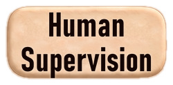 Human Supervision